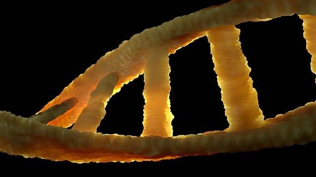 ¿Cuánto vale una prueba de ADN? - Pruebas de paternidad y genética ...
